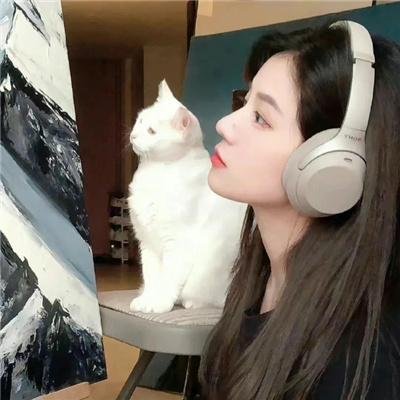 疯狂的电影梦