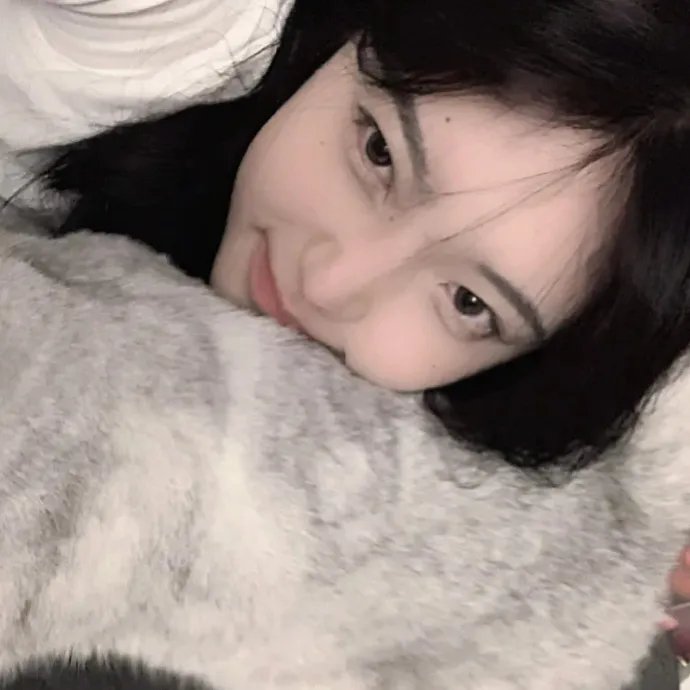 假如动物会摄影